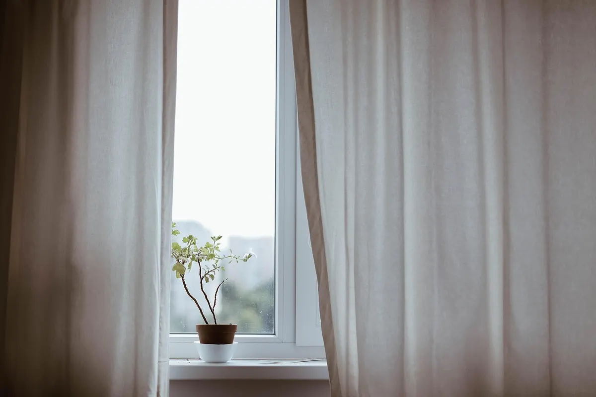 What Is Biophilic Design and How Can You Use It in a Small UK Flat?